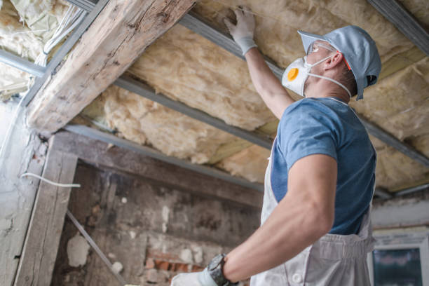 Best Fiberglass Insulation  in Lake Hallie, WI